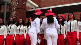 Lambda Psi Chapter of Delta Sigma Theta Sorority Inc Spring 2014 Probate [upl. by Maise]