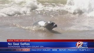 No selfies with seals [upl. by Eelime888]