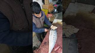 Learn how to filet fish once and for all fish shorts cuttingfish [upl. by Adnaugal]