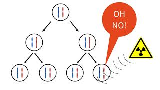 Recombination DNA Repair and Surviving in Space after a Klingon Attack [upl. by Eziechiele944]