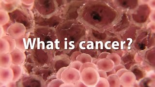 What is cancer What causes cancer and how is it treated UPDATE [upl. by Olympe945]