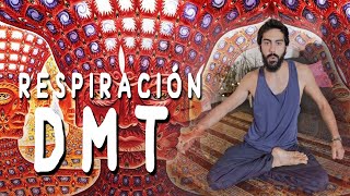 Respiración DMT 3 Rondas PRINCIPIANTES [upl. by Orelia596]