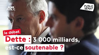 Dette  3 000 milliards estce soutenable [upl. by Ahsitak]