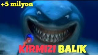 Femberi amp Bensen  Kırmızı Balık Şarkısı Herkes için bir Hikaye [upl. by Lehcsreh]