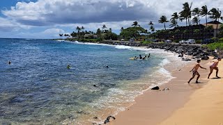 Best quotSnorkelingquot Lawai Beach Poipu Kauai [upl. by Ocirrej245]