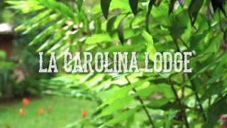 La Carolina Lodge Intro Video [upl. by Yniatirb]