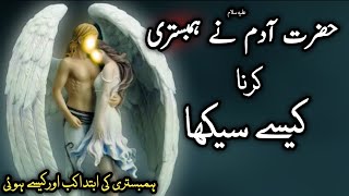 Hazrat Adam ne hambistari karna kaise sekha  History mubashrat  Islamic story  Urdu amp Hindi [upl. by Marijo]