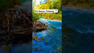 Rio Bueno in Trelawny Jamaica 😊 [upl. by Esra]