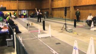 Fast Flyball Box Turns [upl. by Iam]