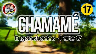 ✅ENGANCHADOS de CHAMAMÉ 2024 🎼 quotParte 17quot 🎼EXCLUSIVO CHAMAME 2024✅ [upl. by Enytsirk]