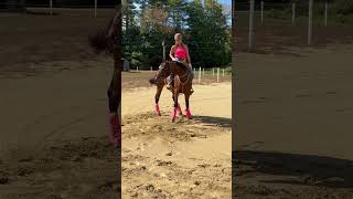 REtraining a RACE HORSE ❤️‍🔥 love horse horseriding retraining ottb naturalhorsemanship [upl. by Eloken728]