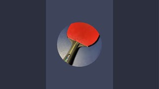 Table tennis 202411161 [upl. by Zeugirdor]