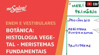 Me Salva BOT16  Botânica  Histologia vegetal meristemas fundamentais [upl. by Gelman445]