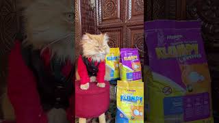 Purrfect for Feline Fanaticsquot“Discover the Ultimate CatLovers Choice Klumpy Litter [upl. by Horten]