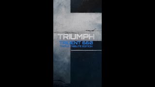 Triumph Trident 660 Triple Tribute Edition 👌 [upl. by Adiam282]