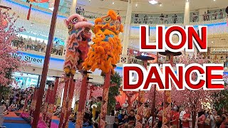 Lion Dance  Chinese New Year Celebration in Malaysia  CNY Malaysia 2023 [upl. by Nibroc842]