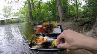 Fly Fishing River Smallmouth [upl. by Tnarb]