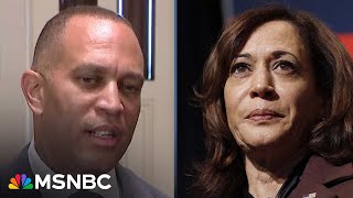 Republicans are having a meltdown Jeffries speaks about Kamala Harris and the 2024 election [upl. by Hollenbeck]