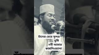 চাঁদের চেয়ে সুন্দর তুমি নবী আমার কামলিওয়ালা। Tarek Monowar Gojol [upl. by Palmira702]