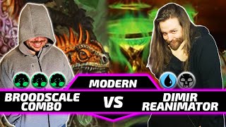 Broodscale Combo Vs Dimir Reanimator Paper Modern MtG Gameplay 2024 [upl. by Handel]