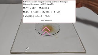 Identificarea cationului de mangan cu hidroxid de sodiu [upl. by Killen]