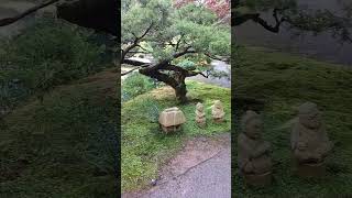 Japanese garden 2 Filmed at Gibbs Garden in Ball Ground GA [upl. by Elfrida]