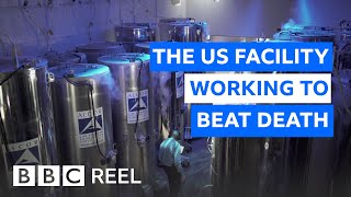 Inside the US lab freezing the dead at 196C  BBC REEL [upl. by Yrmac210]