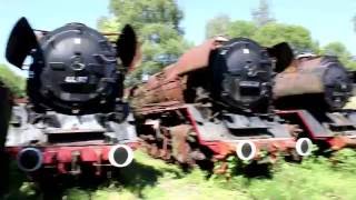 Steam Locomotive Graveyard in Germany  Dampflok Museum Hermeskeil 2016 [upl. by Adnawyt]