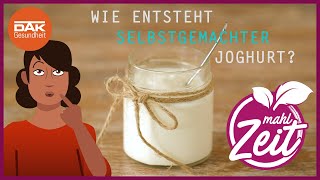 Wie entsteht Joghurt  mahlZeit  DAKGesundheit [upl. by Karna]