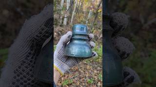 Insulator Hunting  Found Brookfield 164 amp 152 telegraph Insulators treasurehunting antique [upl. by Paviour]