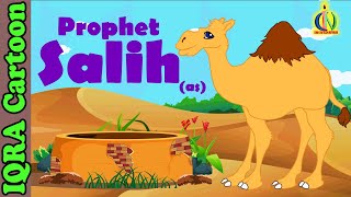 Prophet Stories SALIH AS  Islamic Cartoon  Quran Stories  Islamic Children Kids Videos  Ep 05 [upl. by Neelya505]