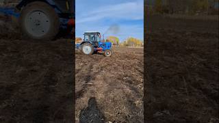 Mtz belarus drift [upl. by Gombosi]