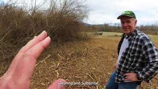 Forestry Mulching Autumn Olive with the Humble Haymaker Day 1 [upl. by Morez]