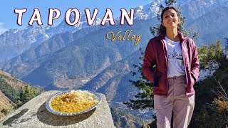 Tapovan  Joshimath To Tapovan Trip  Hanuman Shila  JoshimathAuli Trip  Uttarakhand [upl. by Noah4]