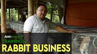 Rabbitry Business Latest Complete Guide in Rabbit Breeding  Agribusiness How It Works [upl. by Ydieh]