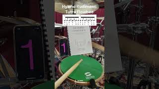 Hybrid Rudiment  Tutra Flowbee [upl. by Eixid599]