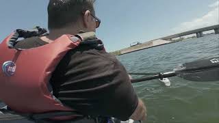 512024 Epic Kayaking Adventure Exploring Hidden Coves and Spotting Dolphins [upl. by Cinimmod]