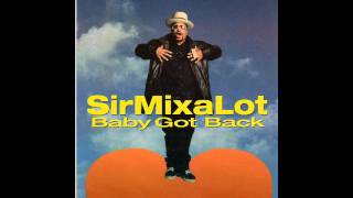 Sir Mix Alot  Baby Got Back HDLyrics [upl. by Allecnirp]