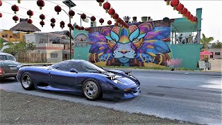 Forza Horizon 5  Photo Challenge Jaguar  Farid Ruedas Lion Mural Playa Azul FH5 EASY [upl. by Sarene382]