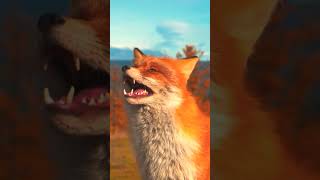 Red Fox Sounds asmr 🦊 [upl. by Deste]