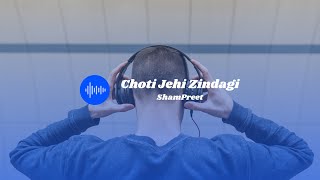 Choti Jehi Zindagi 8D Audio ShamPreet trendingsongs [upl. by Yerocaj395]