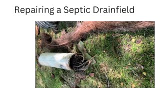 Septic Drainfield Repair [upl. by Elehcim304]