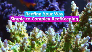 Reefing Your Way  Simple to Complex Reefkeeping with Adam from Frag Garage [upl. by Eillac]