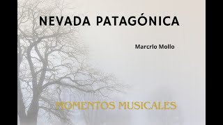 SOAKING Y RELAX HIMNO TU FIDELIDAD  NEVADA PATAGONICA  MOMENTOS MUSICALES  MARCELO MOLLO [upl. by Kcirad394]