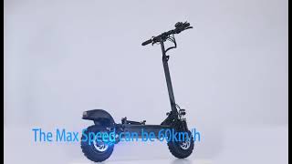 Electric Scooter 1000W Dual Motor Offroad 11Inch Tires [upl. by Htebsil626]