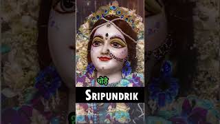 राधारानी में सबसे बड़ा गुण कौनसा है  Sri Pundrik Goswami ji  shorts ytshorts sripundrik [upl. by Hermon]