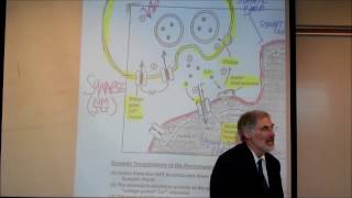 PHYSIOLOGY THE NEUROMUSCULAR JUNCTION by Professor Fink [upl. by Ibor113]