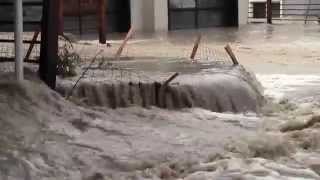 Calgary Flood June 2013  Stampede Park Mission Fish Creek [upl. by Lenaj535]