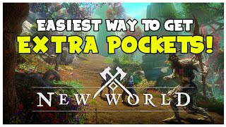 EXTRA POCKETS PERK How To Farm Sliver of Adderstone  New World Guide [upl. by Alhsa]