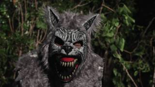 Werewolf Animotion Mask at Spirit Halloween [upl. by Ssac]